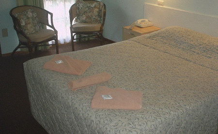 Bandicoot Motor Inn - Accommodation Mooloolaba 4