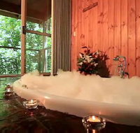 Tree Houses Of Montville - Accommodation Mooloolaba
