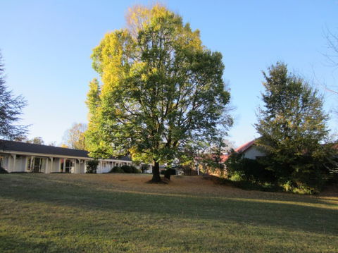 Moore Park Inn - Accommodation Mooloolaba 0