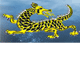 Dragon Phoenix Motel amp Restuarant - Accommodation Mooloolaba