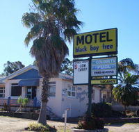 Blackboy Tree Motel - Accommodation Mooloolaba