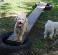 Beenleigh Pet Motel - Accommodation Mooloolaba