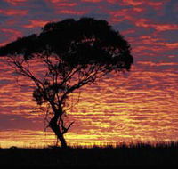 Kimba Caravan Park amp Motel - Accommodation Mooloolaba