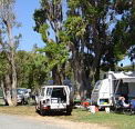 Elliston Caravan Park - Accommodation Mooloolaba