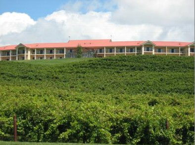 Turners Vineyard - Accommodation Mooloolaba 4