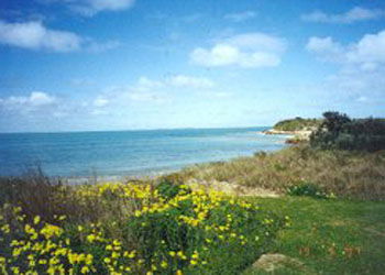 Southern Ocean Tourist Park - Accommodation Mooloolaba 1