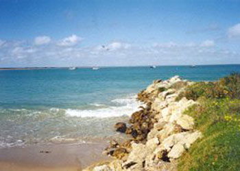 Southern Ocean Tourist Park - Accommodation Mooloolaba 2