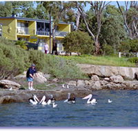 Almonta Holiday Apartments - Accommodation Mooloolaba