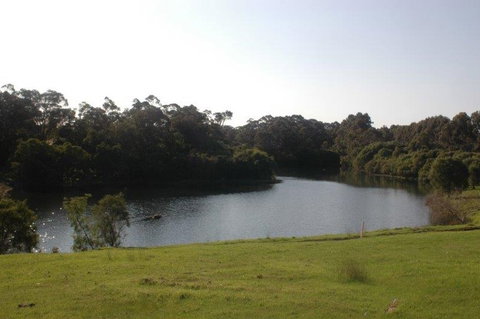 Harmony Forest - Accommodation Mooloolaba 1