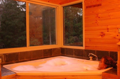 Harmony Forest - Accommodation Mooloolaba 3