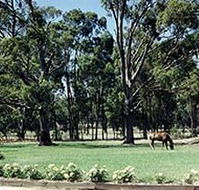Saratoga Lodge - Accommodation Mooloolaba