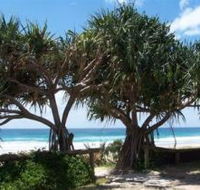 Pacific Surf Absolute Beachfront Apartments - Accommodation Mooloolaba