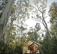 Paperbark Camp - Accommodation Mooloolaba