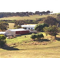 Sun Valley Eco Farm - Accommodation Mooloolaba
