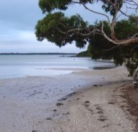 Stanley Lakeside Spa Cabins - Accommodation Mooloolaba