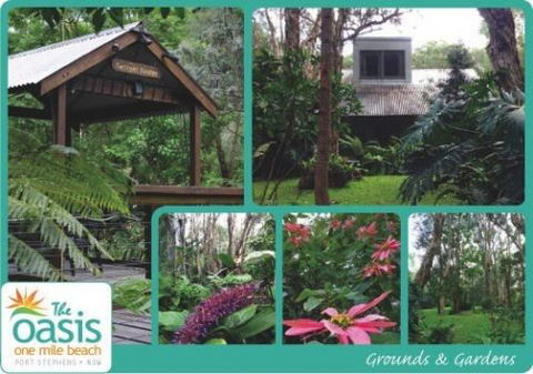 The Oasis At One Mile Beach - Accommodation Mooloolaba 0