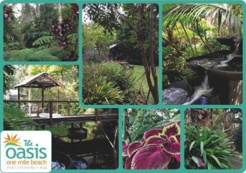 The Oasis At One Mile Beach - Accommodation Mooloolaba 2