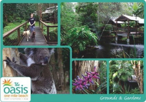 The Oasis At One Mile Beach - Accommodation Mooloolaba 3