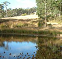 Kiah Nunyara Accommodation - Accommodation Mooloolaba