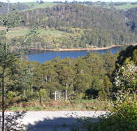 Charlyn Lodge