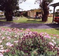 Brigadoon Holiday Units - Accommodation Mooloolaba