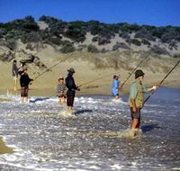 Flippers Beachouse - Accommodation Mooloolaba