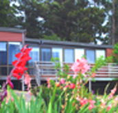 Mount Roland View - Accommodation Mooloolaba