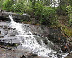 Gully Falls House - Accommodation Mooloolaba 0