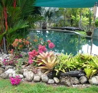 Daintree Wild Bed And Breakfast - Accommodation Mooloolaba