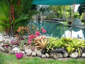 Daintree Wild Bed And Breakfast - Accommodation Mooloolaba 0