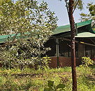 Arnhemland Barramundi Nature Lodge - Accommodation Mooloolaba