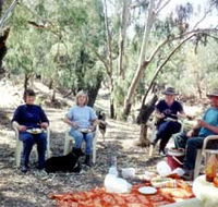 Bimbimbi And Little Hollow Farm Stay - Accommodation Mooloolaba