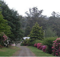 Mountain Rivers Lodge - Accommodation Mooloolaba