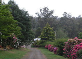 Mountain Rivers Lodge - Accommodation Mooloolaba 0
