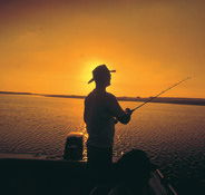 Point Stuart Wilderness Lodge - Accommodation Mooloolaba