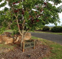 Belle Vue Studio - Accommodation Mooloolaba