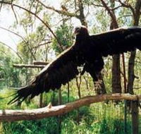 Curlew Hill Sanctuary - Accommodation Mooloolaba