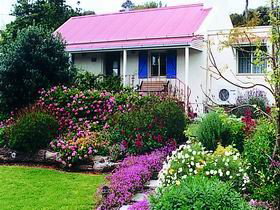 Abeona Cottage - Accommodation Mooloolaba 0