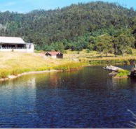 Millybrook Lodge - Accommodation Mooloolaba