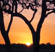 Coodardie Station Stay - Accommodation Mooloolaba