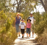 Pepper Tree Cottage - Accommodation Mooloolaba