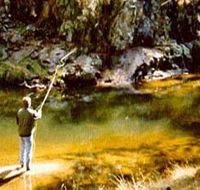 Markdale Homestead - Accommodation Mooloolaba