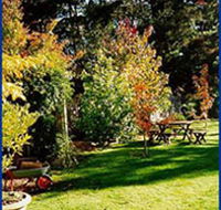 Peartree Cottage Leura - Accommodation Mooloolaba