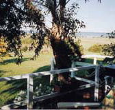 Kidogo Cottage - Accommodation Mooloolaba