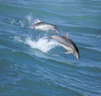 Seachange - Accommodation Mooloolaba