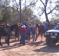 Evening Star Tourist Park - Accommodation Mooloolaba