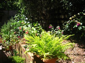 Bungunyah Apartments - Accommodation Mooloolaba 1