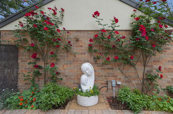 Bungunyah Apartments - Accommodation Mooloolaba 8