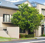 Quest Maitland Serviced Apartments - Accommodation Mooloolaba