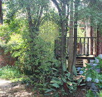 Storey Grange - Accommodation Mooloolaba